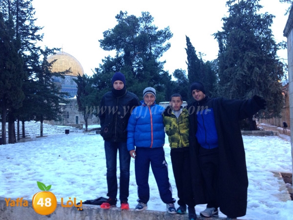 snow yaffa guys (1).JPG